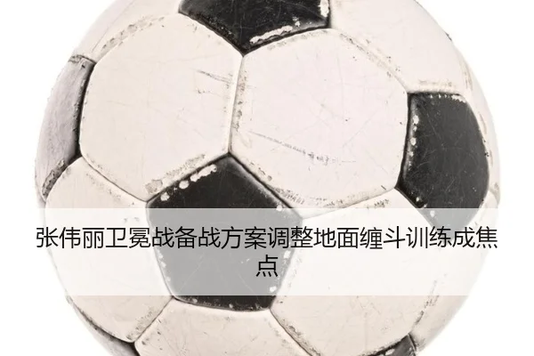 张伟丽卫冕战备战方案调整地面缠斗训练成焦点 - OUBAOSPORTS