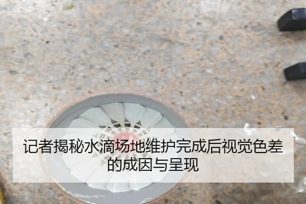 记者揭秘水滴场地维护完成后视觉色差的成因与呈现 - OUBAOSPORTS