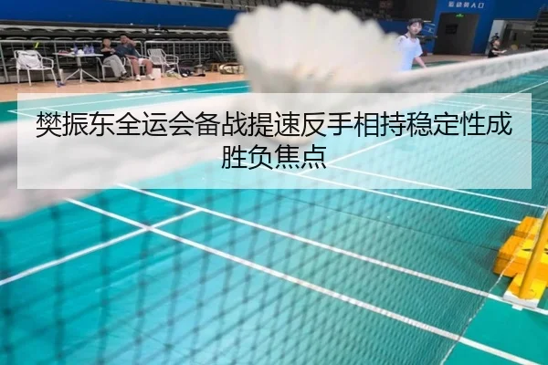樊振东全运会备战提速反手相持稳定性成胜负焦点 - OUBAOSPORTS